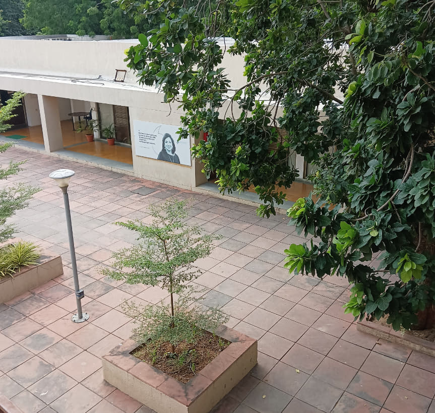 PDEU Campus photo 51